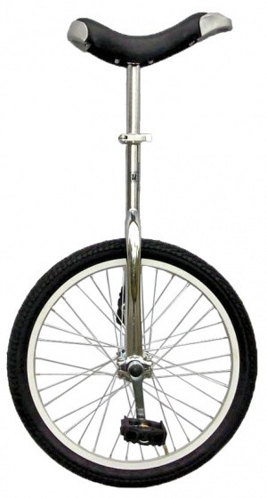 Eenwieler 20 Zoll 46 cm Unisex Silber