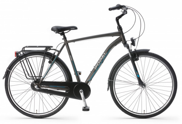 CityFlex 28 Zoll 50 cm Herren 3G Felgenbremse Grau