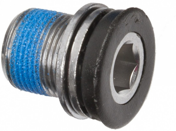 Bosch Kurbelschraube M15 1,0 Silber x pro Stück